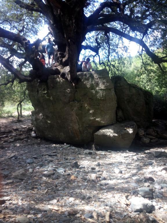 Naramanue Villa Dorgali Buitenkant foto