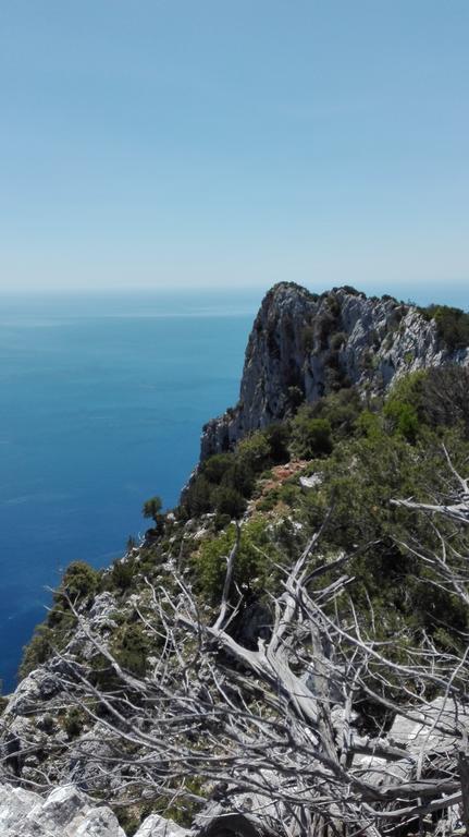 Naramanue Villa Dorgali Buitenkant foto