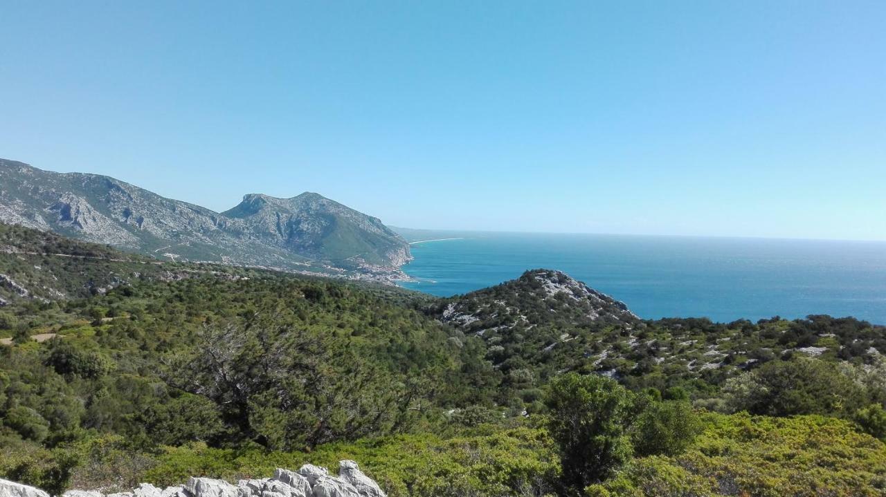 Naramanue Villa Dorgali Buitenkant foto