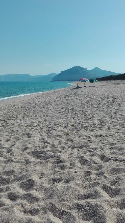 Naramanue Villa Dorgali Buitenkant foto